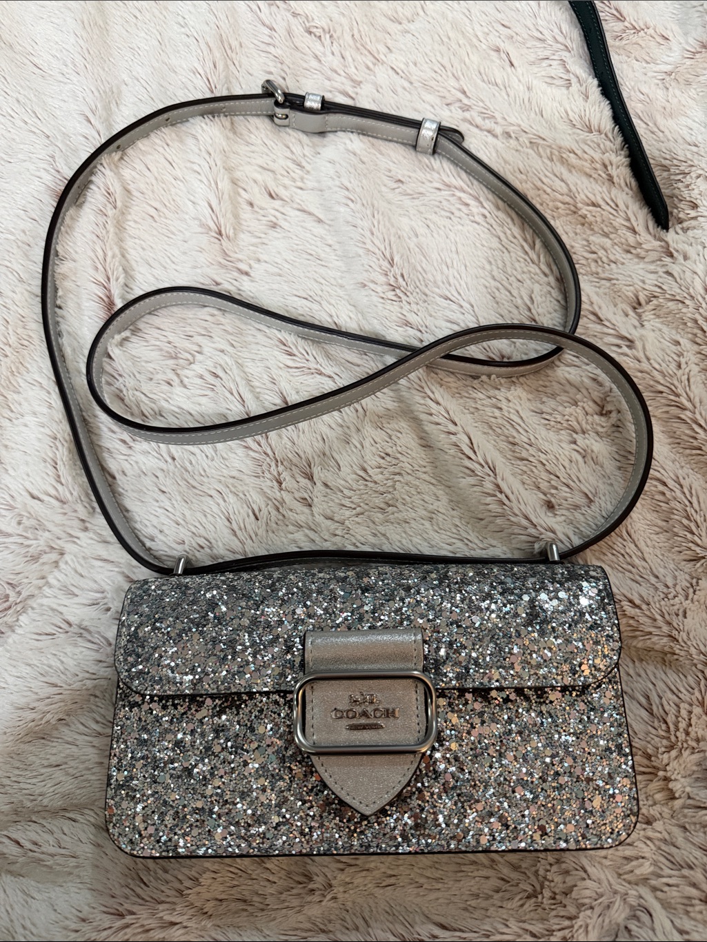 Coach Silver Glitter Crossbody Bag With Metallic Trim